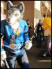 [StuntTiger MFF2009 093]