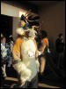 [StuntTiger MFF2009 094]