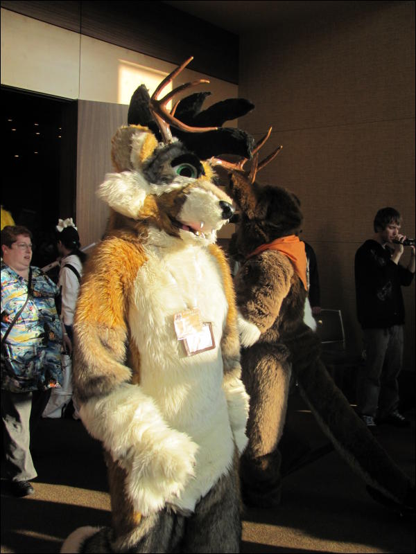 [StuntTiger_MFF2009_094.jpg]