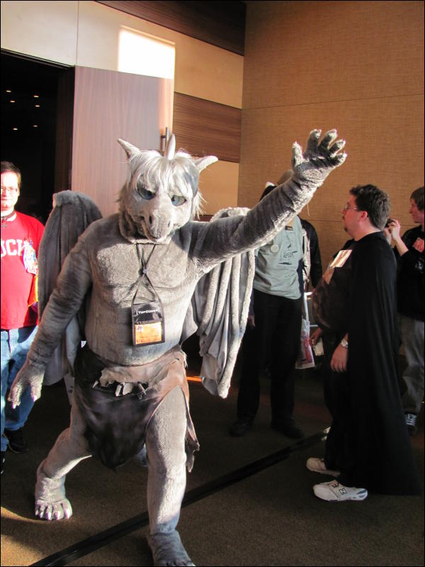 [StuntTiger_MFF2009_096.jpg]