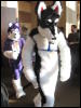 [StuntTiger MFF2009 097]