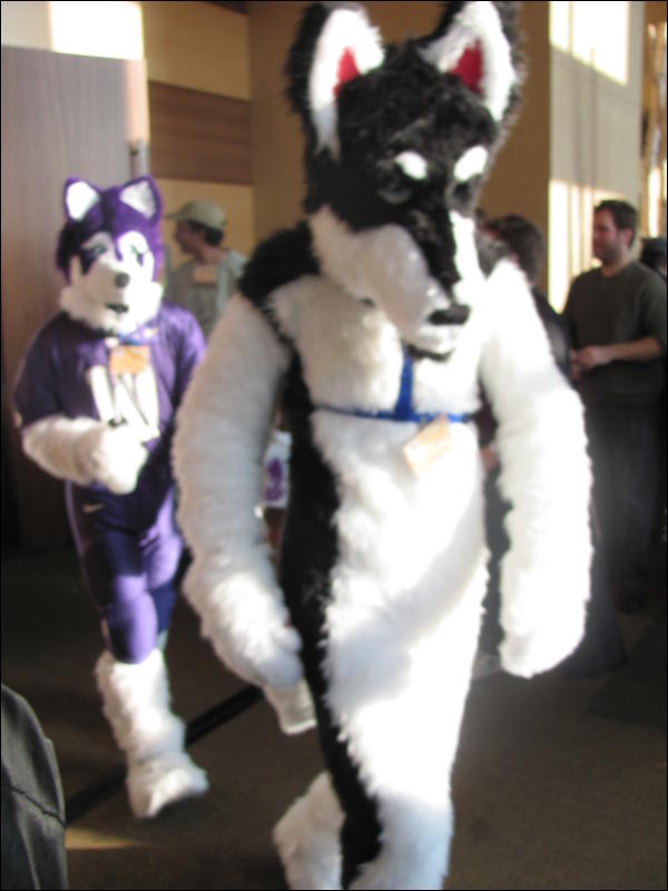 [StuntTiger_MFF2009_097.jpg]