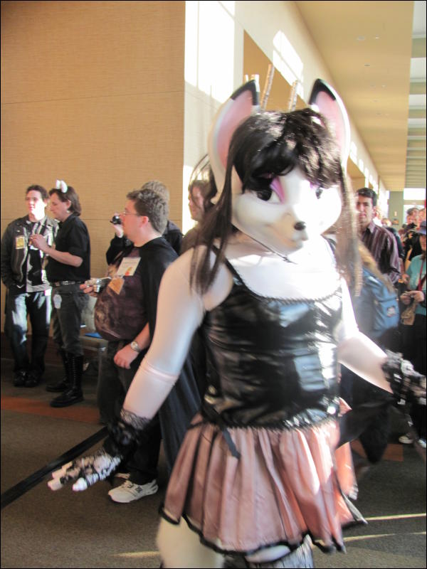 [StuntTiger_MFF2009_098.jpg]