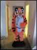 [StuntTiger MFF2009 100]