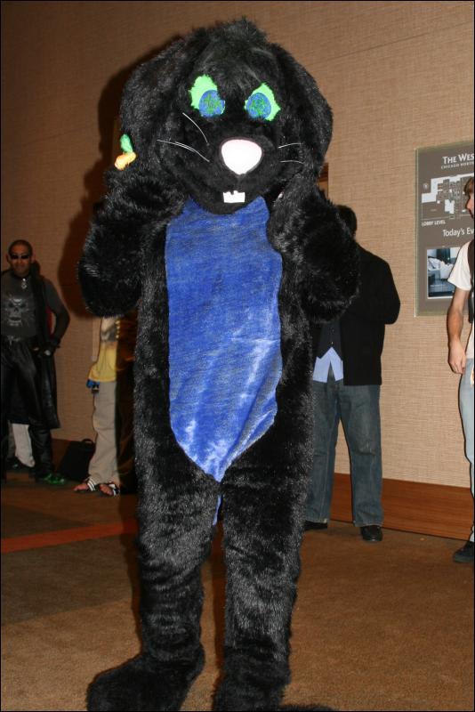 [StuntTiger_MFF2009_103.jpg]