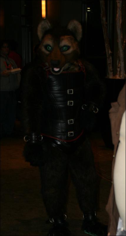 [StuntTiger_MFF2009_105.jpg]