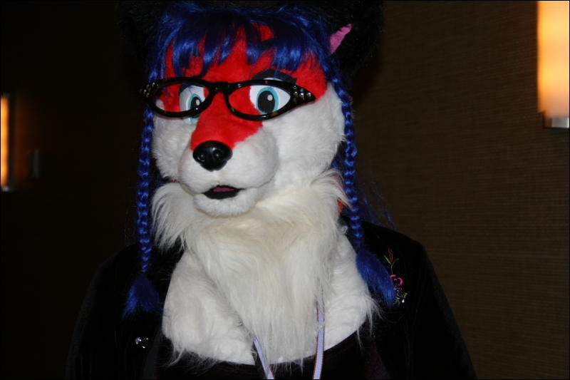 [StuntTiger_MFF2009_108.jpg]