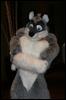 [StuntTiger MFF2009 114]