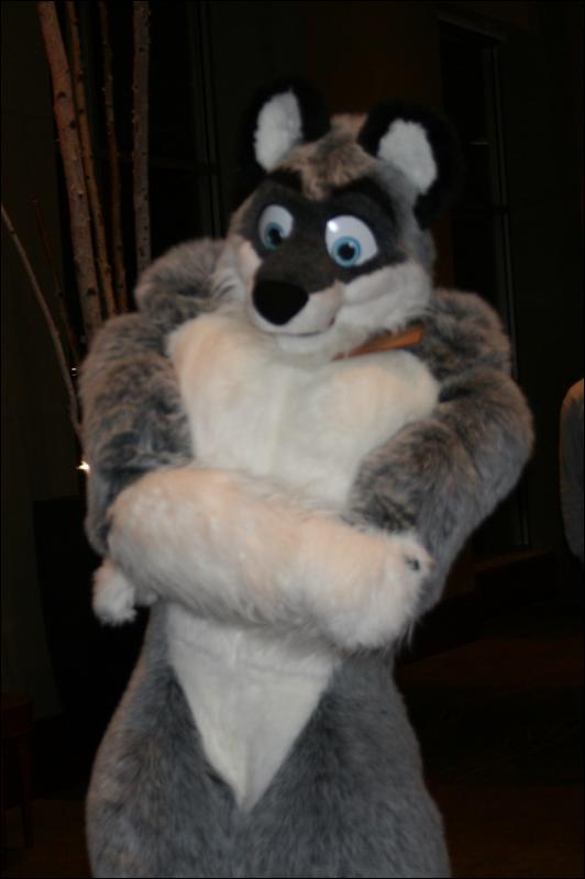 [StuntTiger_MFF2009_114.jpg]