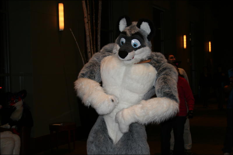 [StuntTiger_MFF2009_115.jpg]