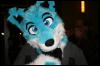 [StuntTiger MFF2009 116]