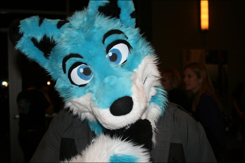 [StuntTiger_MFF2009_116.jpg]