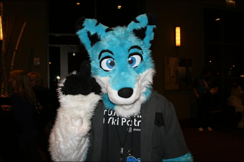 [StuntTiger_MFF2009_117.jpg]