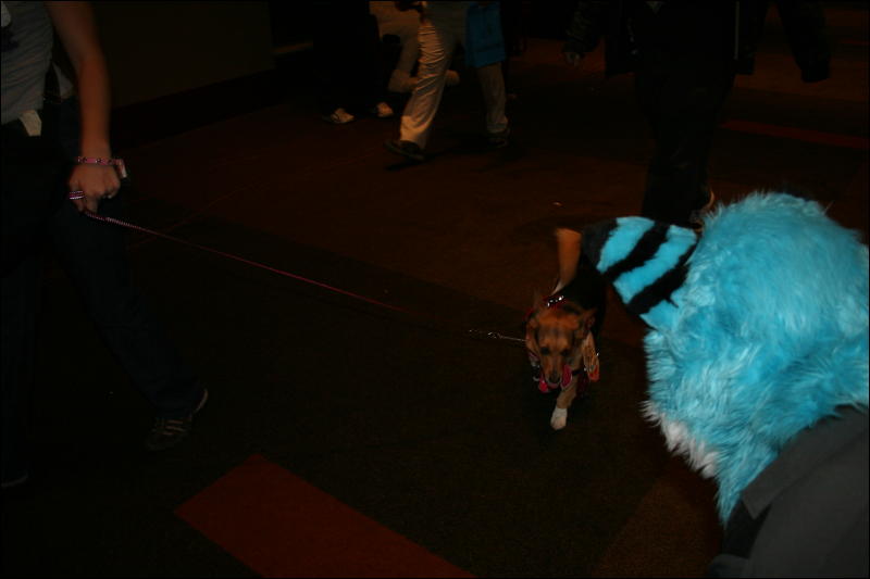 [StuntTiger_MFF2009_118.jpg]