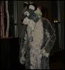 [StuntTiger MFF2009 119]