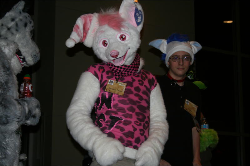 [StuntTiger_MFF2009_121.jpg]