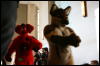 [StuntTiger MFF2009 127]