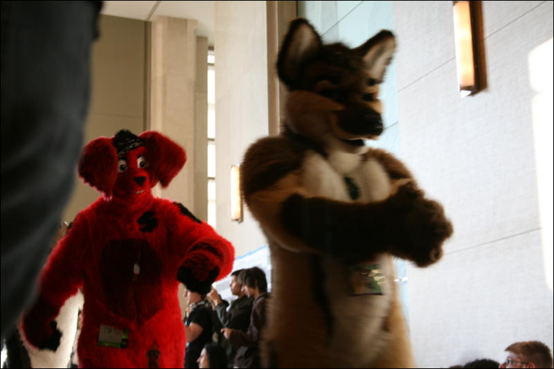 [StuntTiger_MFF2009_127.jpg]