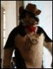 [StuntTiger MFF2009 128]