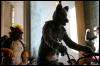 [StuntTiger MFF2009 131]