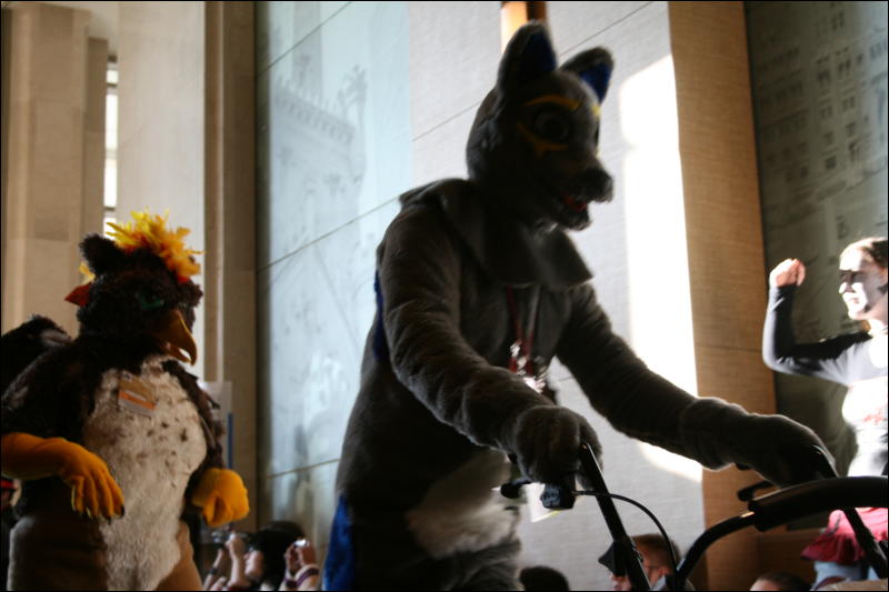 [StuntTiger_MFF2009_131.jpg]