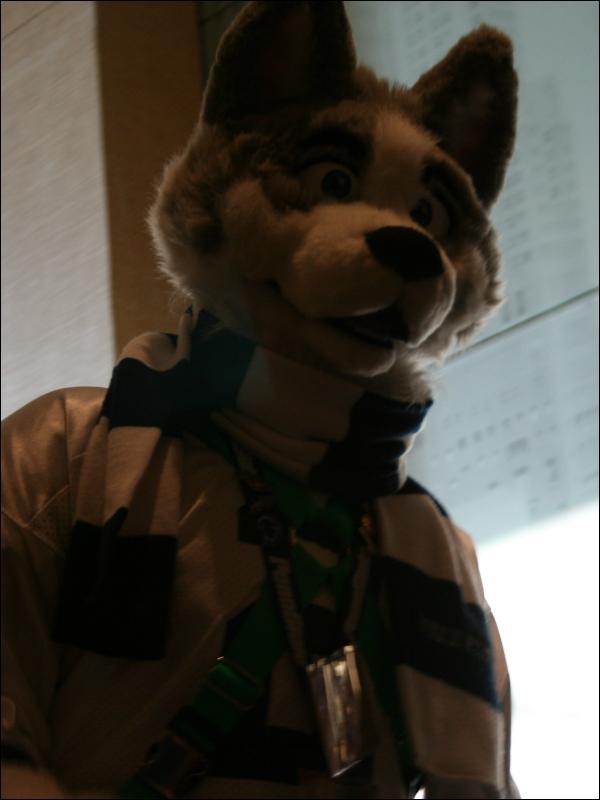 [StuntTiger_MFF2009_134.jpg]