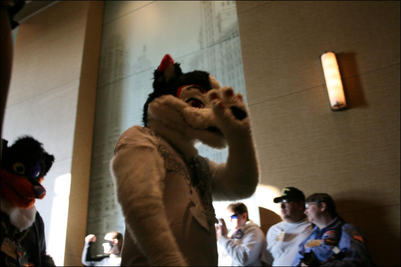 [StuntTiger_MFF2009_135.jpg]