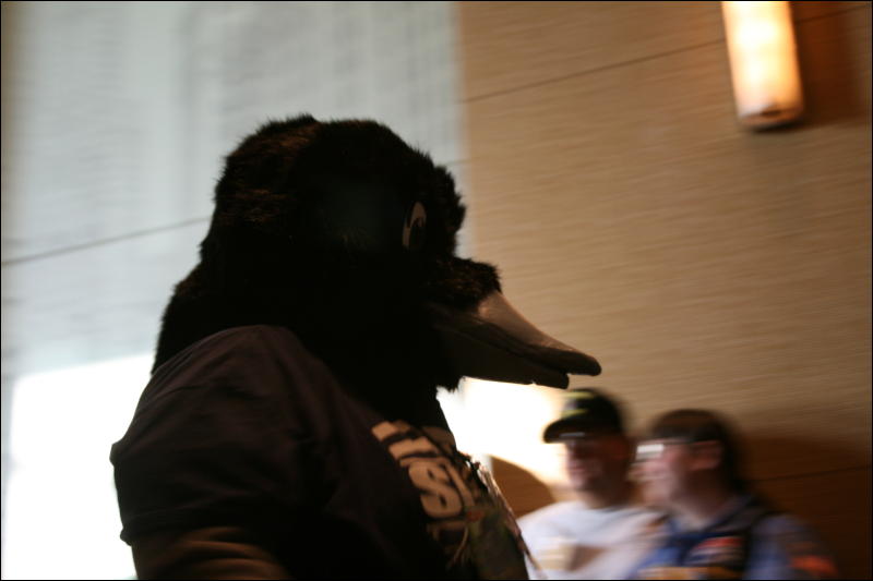 [StuntTiger_MFF2009_137.jpg]