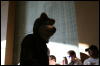 [StuntTiger MFF2009 138]