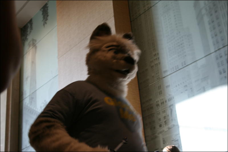 [StuntTiger_MFF2009_139.jpg]