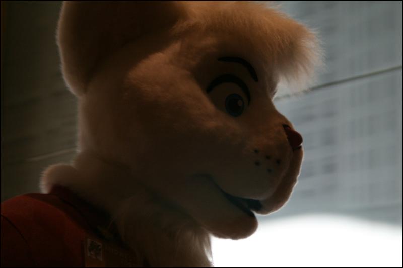 [StuntTiger_MFF2009_153.jpg]