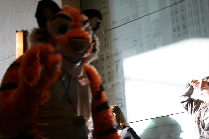 [StuntTiger_MFF2009_159.jpg]