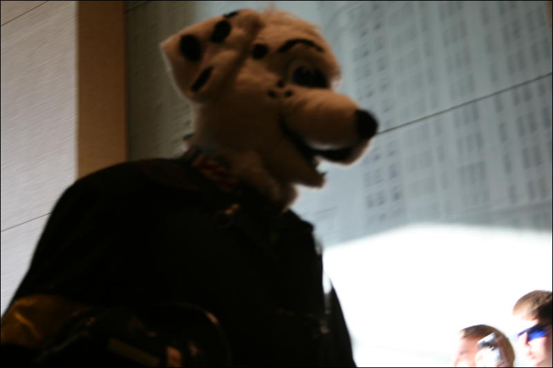 [StuntTiger_MFF2009_160.jpg]