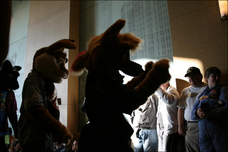 [StuntTiger_MFF2009_168.jpg]