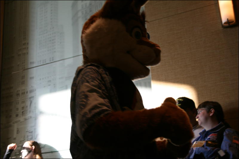 [StuntTiger_MFF2009_169.jpg]