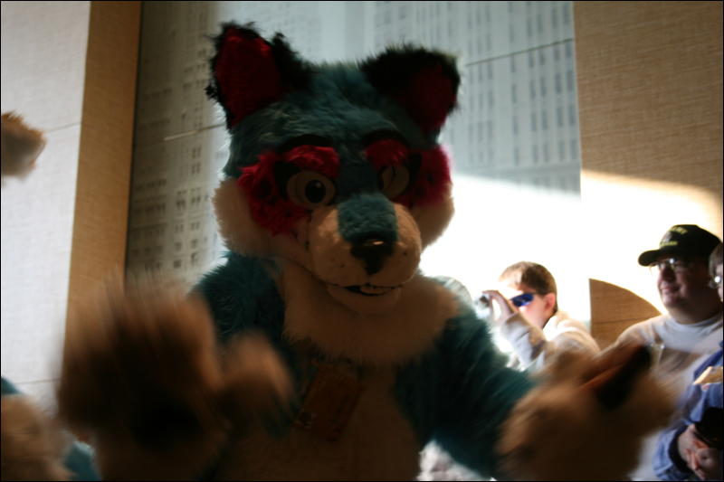 [StuntTiger_MFF2009_170.jpg]