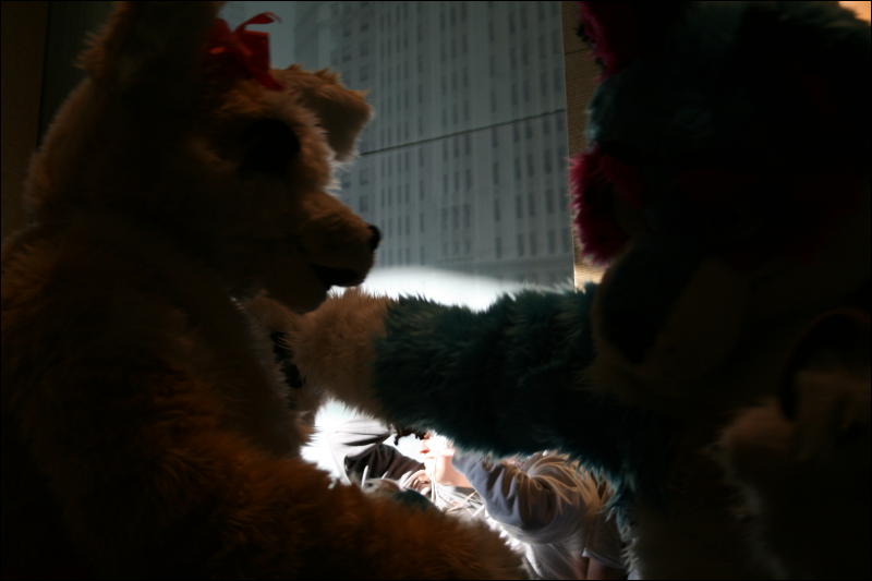 [StuntTiger_MFF2009_171.jpg]