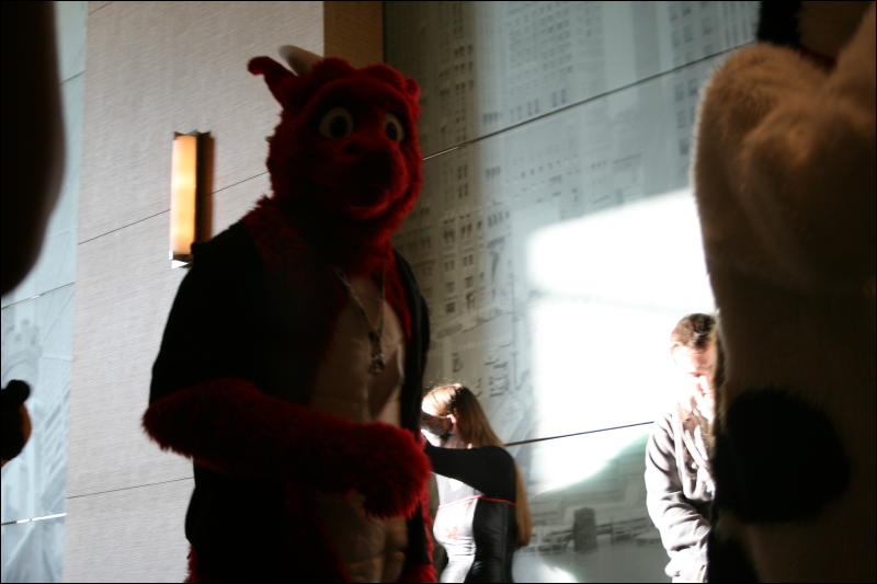 [StuntTiger_MFF2009_175.jpg]