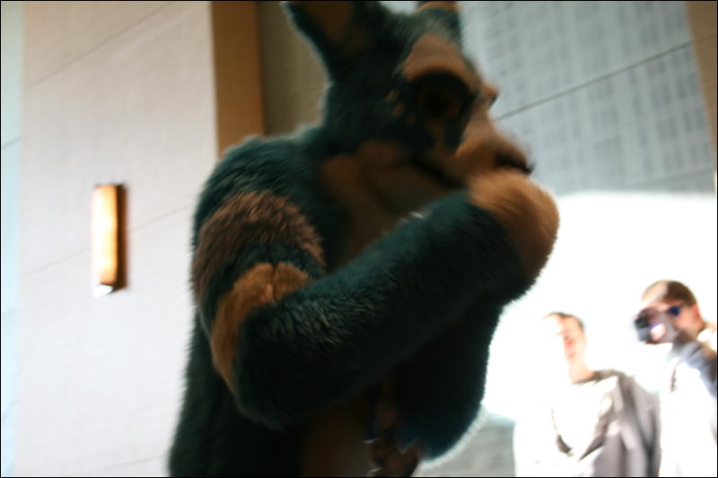 [StuntTiger_MFF2009_178.jpg]