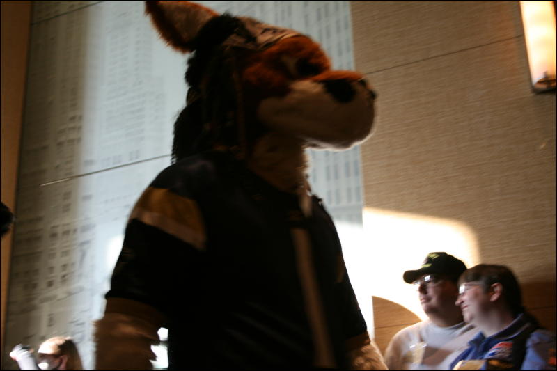 [StuntTiger_MFF2009_181.jpg]