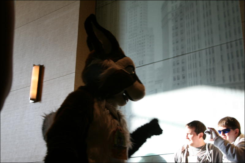 [StuntTiger_MFF2009_183.jpg]