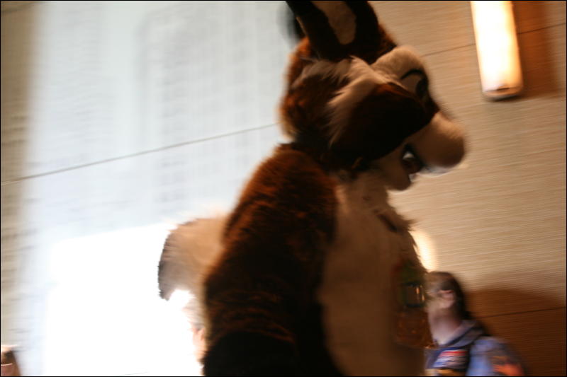 [StuntTiger_MFF2009_184.jpg]