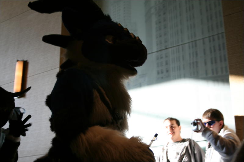 [StuntTiger_MFF2009_187.jpg]