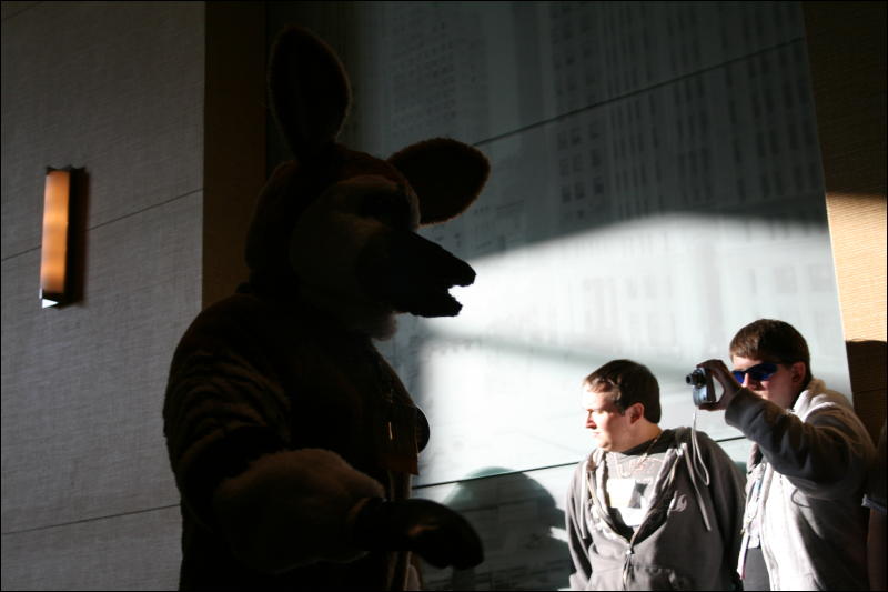 [StuntTiger_MFF2009_189.jpg]