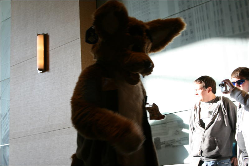 [StuntTiger_MFF2009_191.jpg]