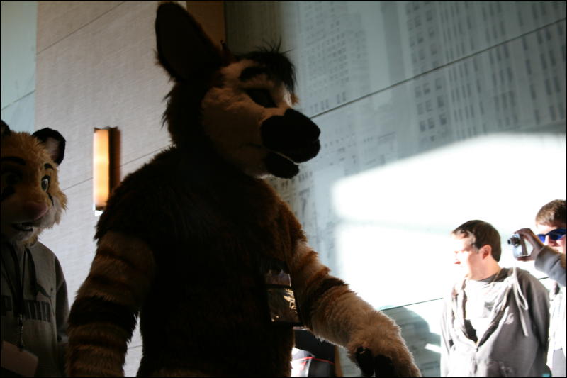 [StuntTiger_MFF2009_192.jpg]