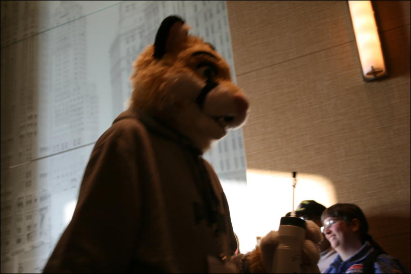 [StuntTiger_MFF2009_194.jpg]