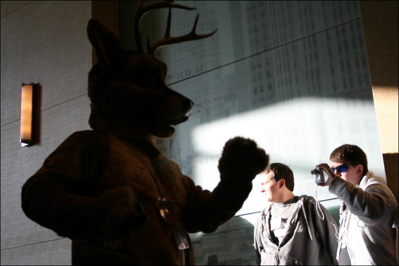 [StuntTiger_MFF2009_195.jpg]