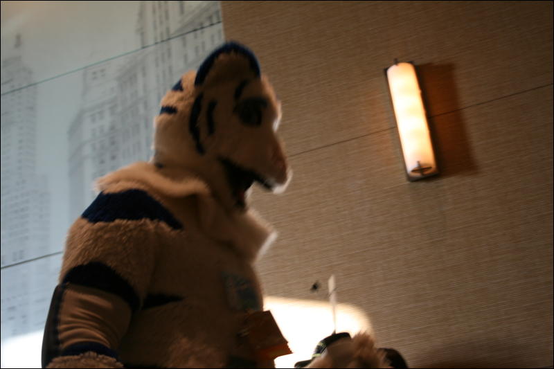 [StuntTiger_MFF2009_196.jpg]