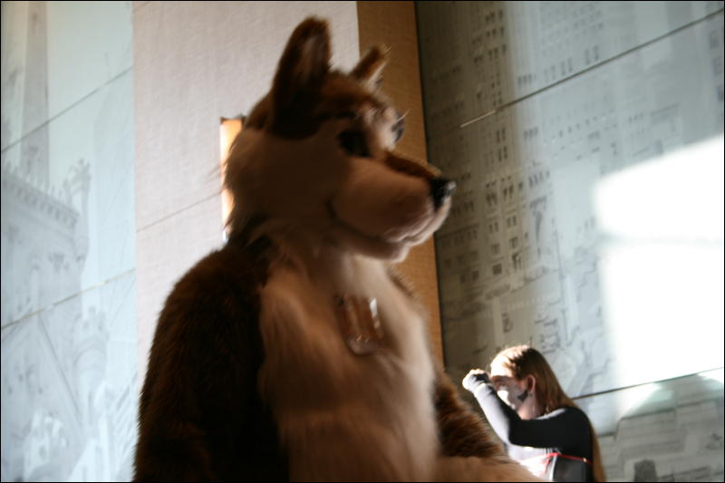 [StuntTiger_MFF2009_200.jpg]